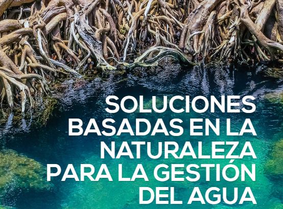 Soluciones Basadas En La Naturaleza Para La Gestión Del Agua ...