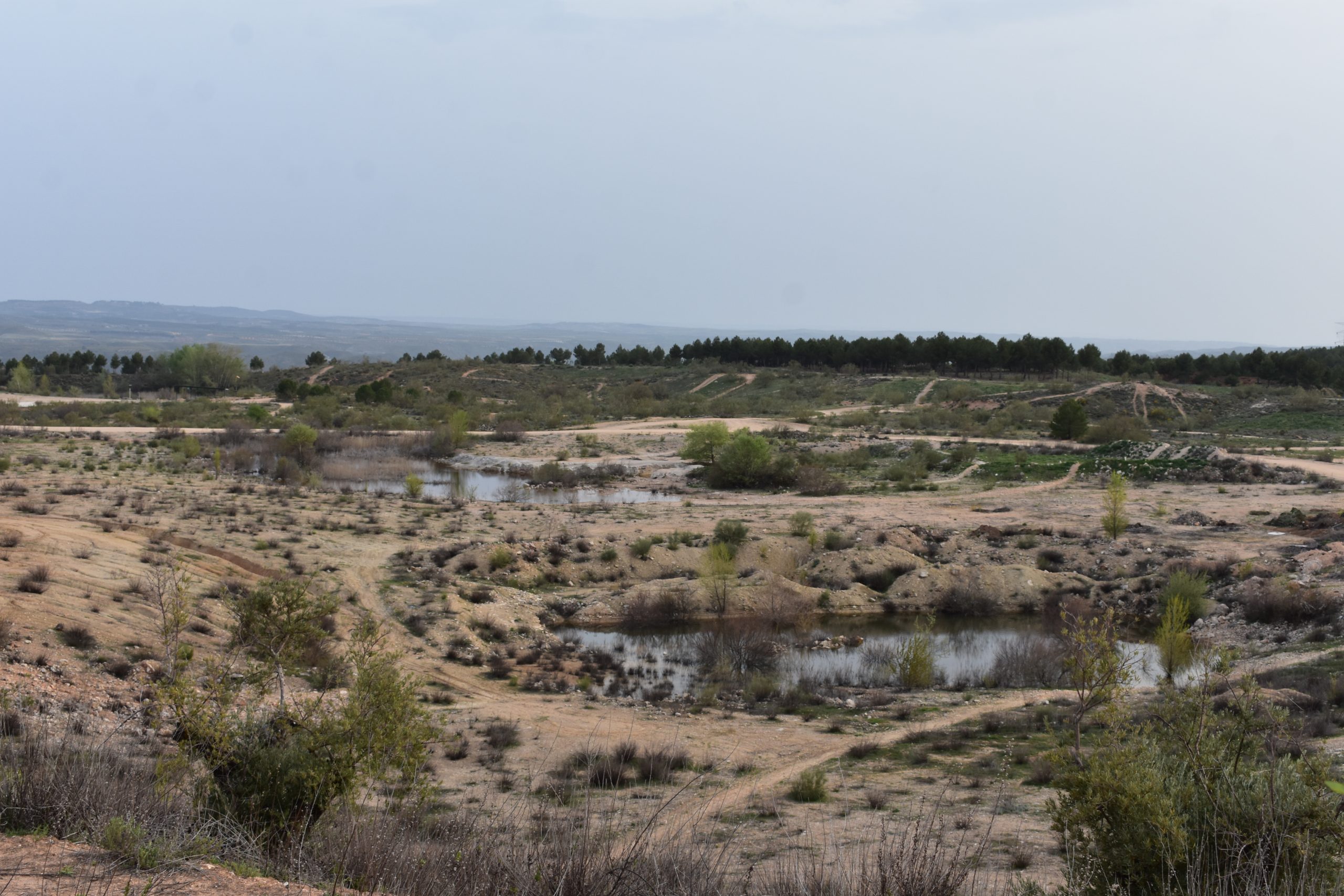 Cantera renaturalizada