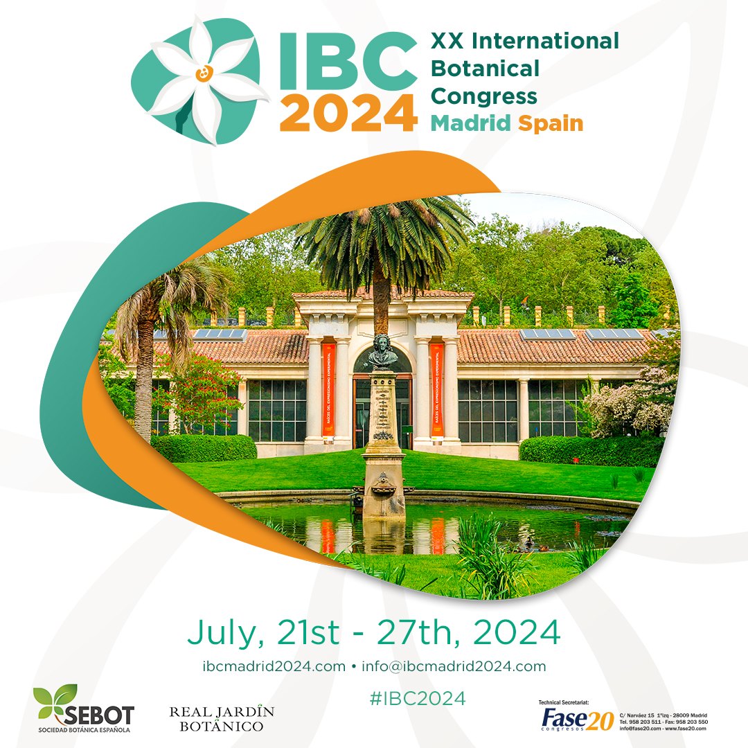 IBC 2024 Madrid