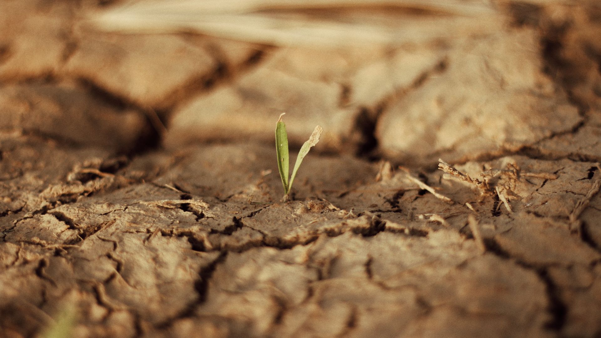 estudio erosion suelo